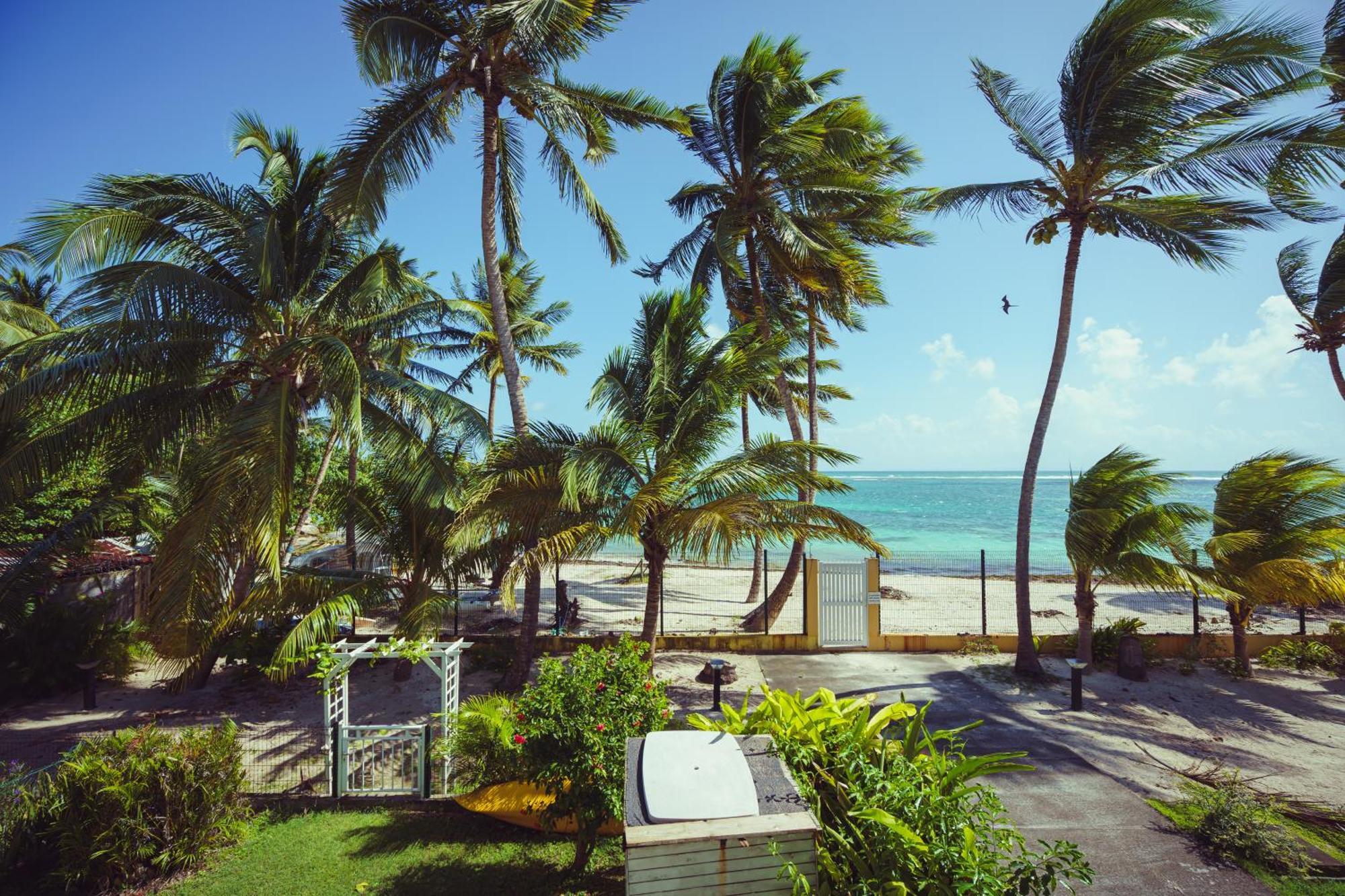 Le Touloublue - Tres Bel Appartement Face A La Mer Sainte-Anne  Ngoại thất bức ảnh